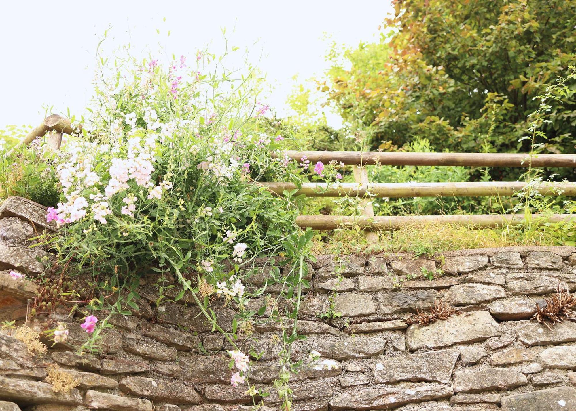 Pet-friendly Logburner Horse Stable Views Holiday home *