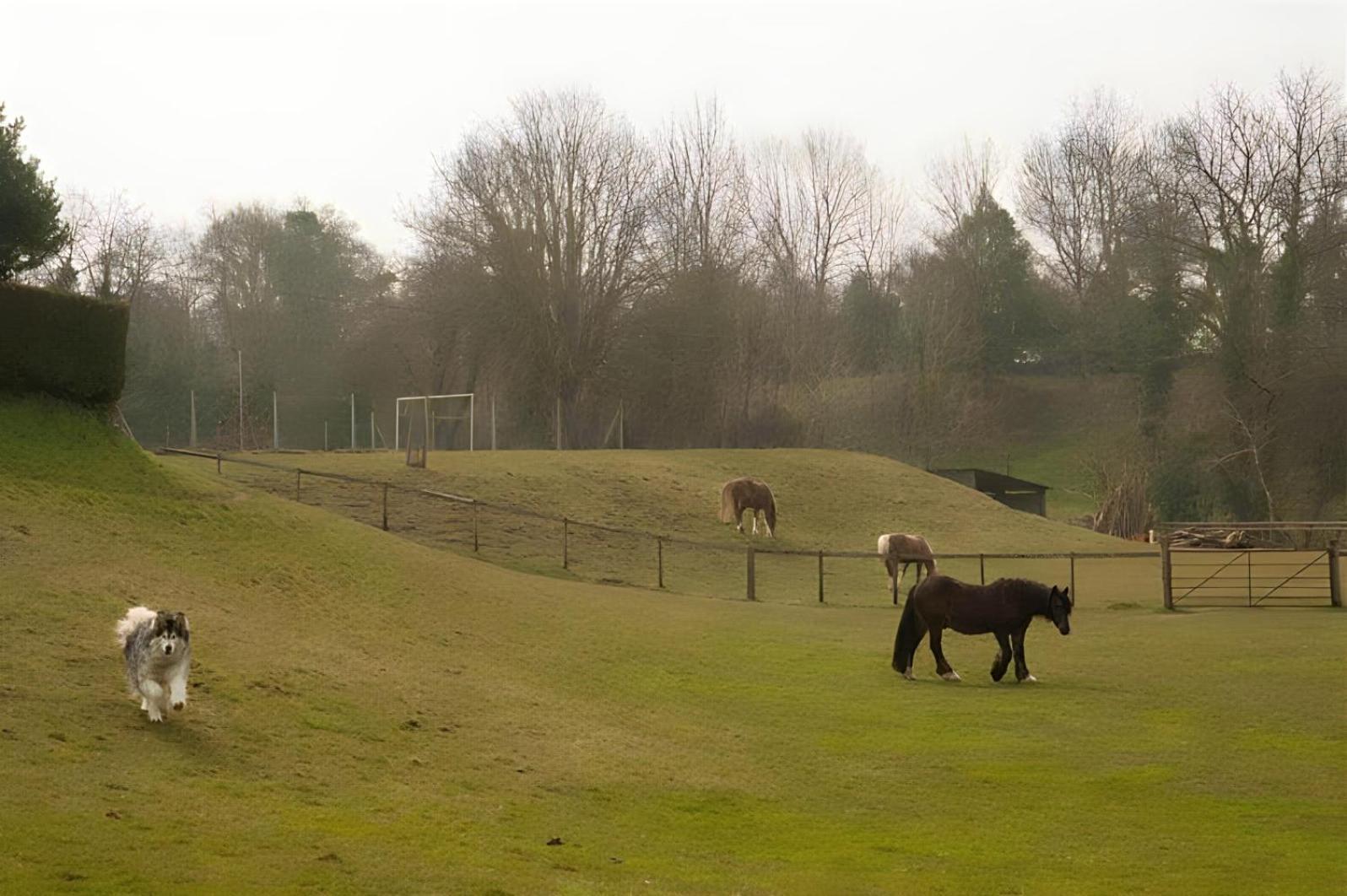 Pet-friendly Logburner Horse Stable Views