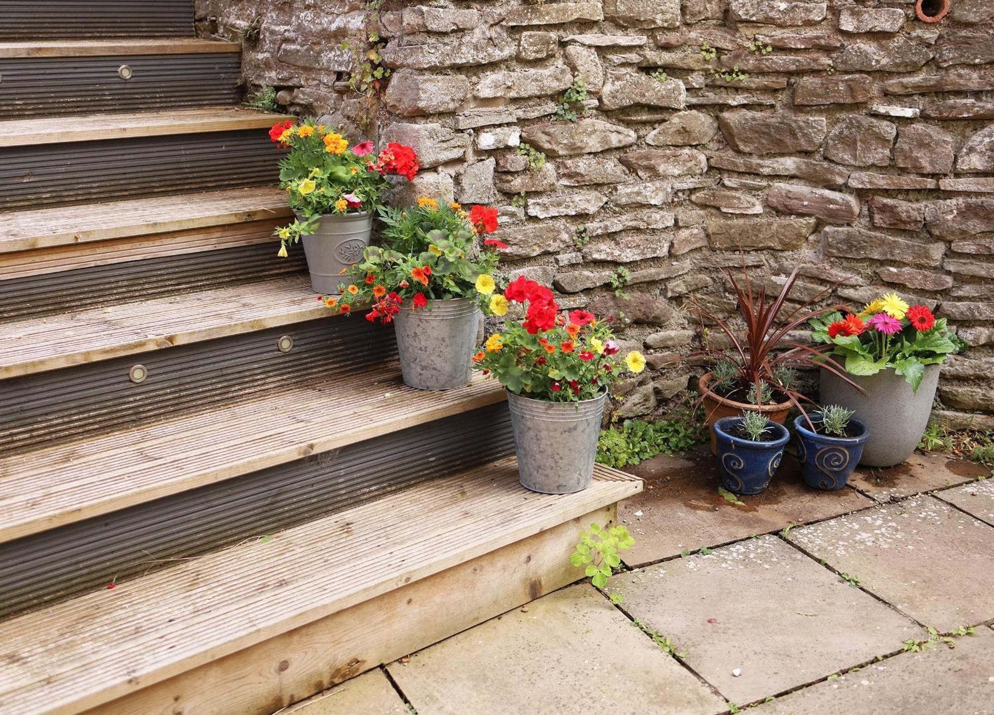 Pet-friendly Logburner Horse Stable Views